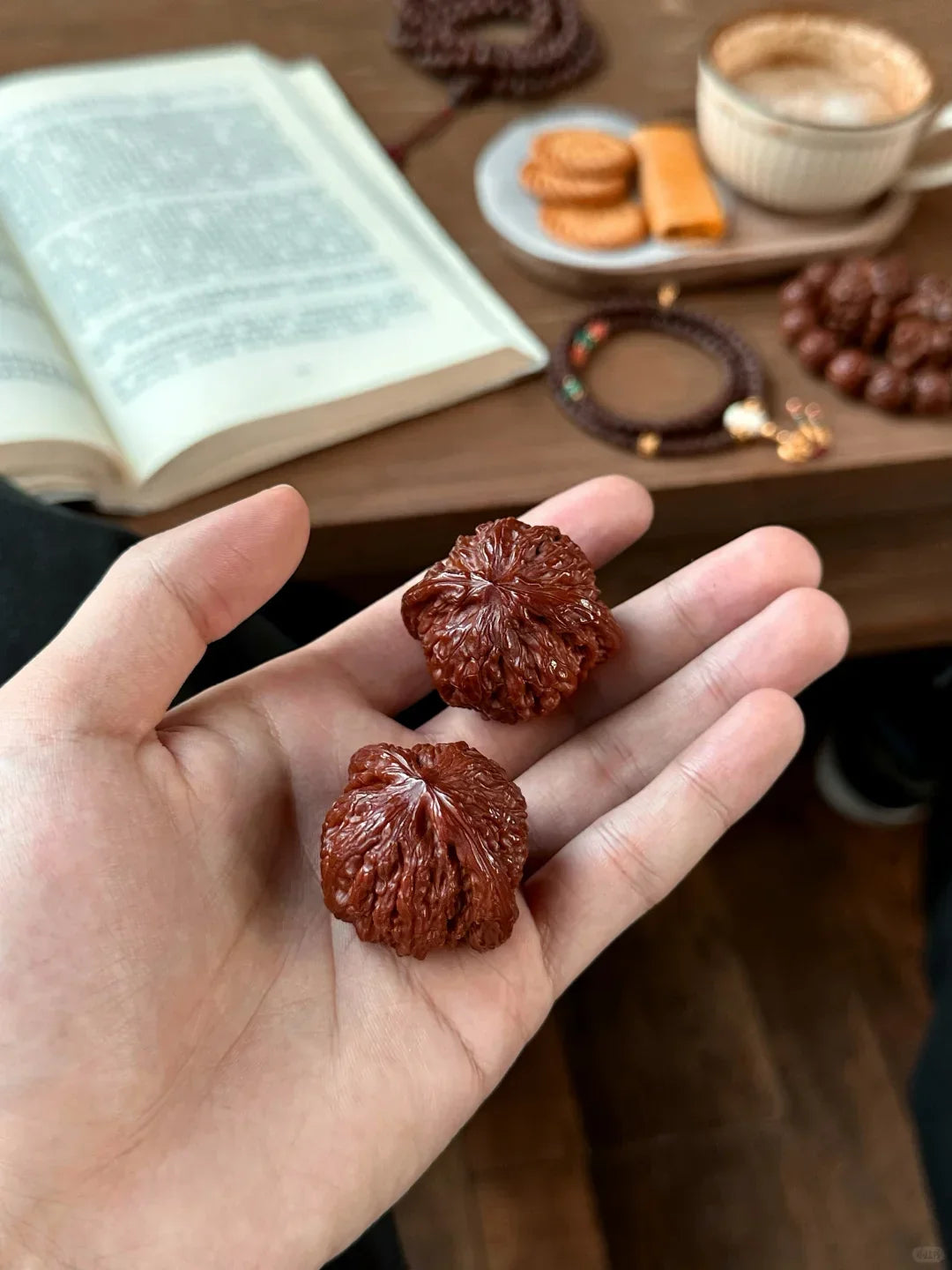 Wenwan Walnuts for Beginners: How to Choose, Play and Care for Your First Pair