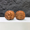 Pair of porcelain doll Wenwan walnuts by Wenwan Art, smooth-glaze finish, 38mm size, featuring detailed doll designs.