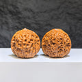 【收藏級】大團圓 文玩核桃 (3.5 × 3.6cm) | [Collector's Grade] Great Reunion Walnut (3.5 × 3.6cm) - SKU: DTY-1Z7