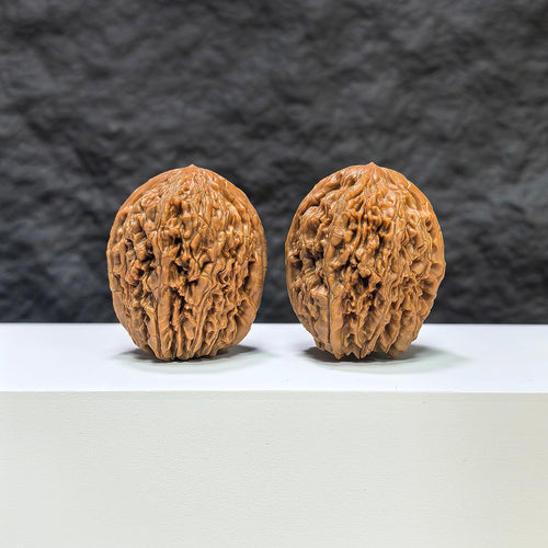 Pair of Classic Scholar Wenwan Walnuts by Wenwan Art, 34x37mm, featuring traditional carved designs on smooth walnut surfaces.