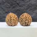 Pair of Peach Heart Xiayunling Wenwan walnuts from Wenwan Art, featuring smooth, polished walnut surfaces with intricate natural patterns.