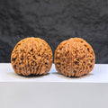 Pair of Red Shell Nanjiangstone Wenwan walnuts from Wenwan Art, 40mm x 38mm, featuring vibrant red shells and intricate natural textures.