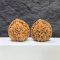 Large Wenwan Art official hat concave base peach heart walnut, premium Wenwan walnut pair with 48mm x 41mm size.
