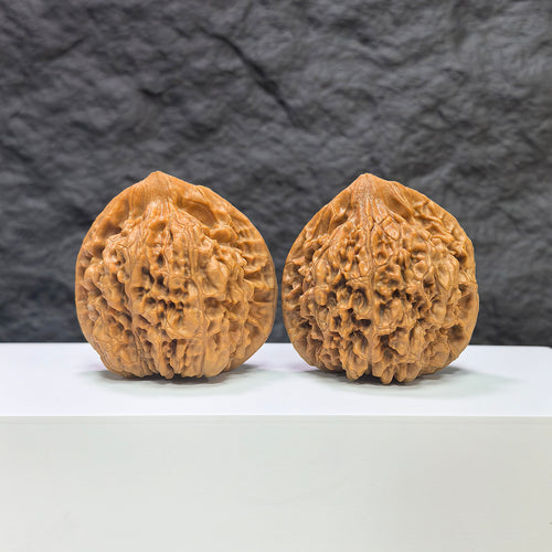 Large Wenwan Art official hat concave base peach heart walnut, premium Wenwan walnut pair with 48mm x 41mm size.