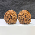 Pair of Panlong Texture Wenwan walnuts from Wenwan Art, featuring detailed natural wood grain patterns, measuring 34mm x 31mm.