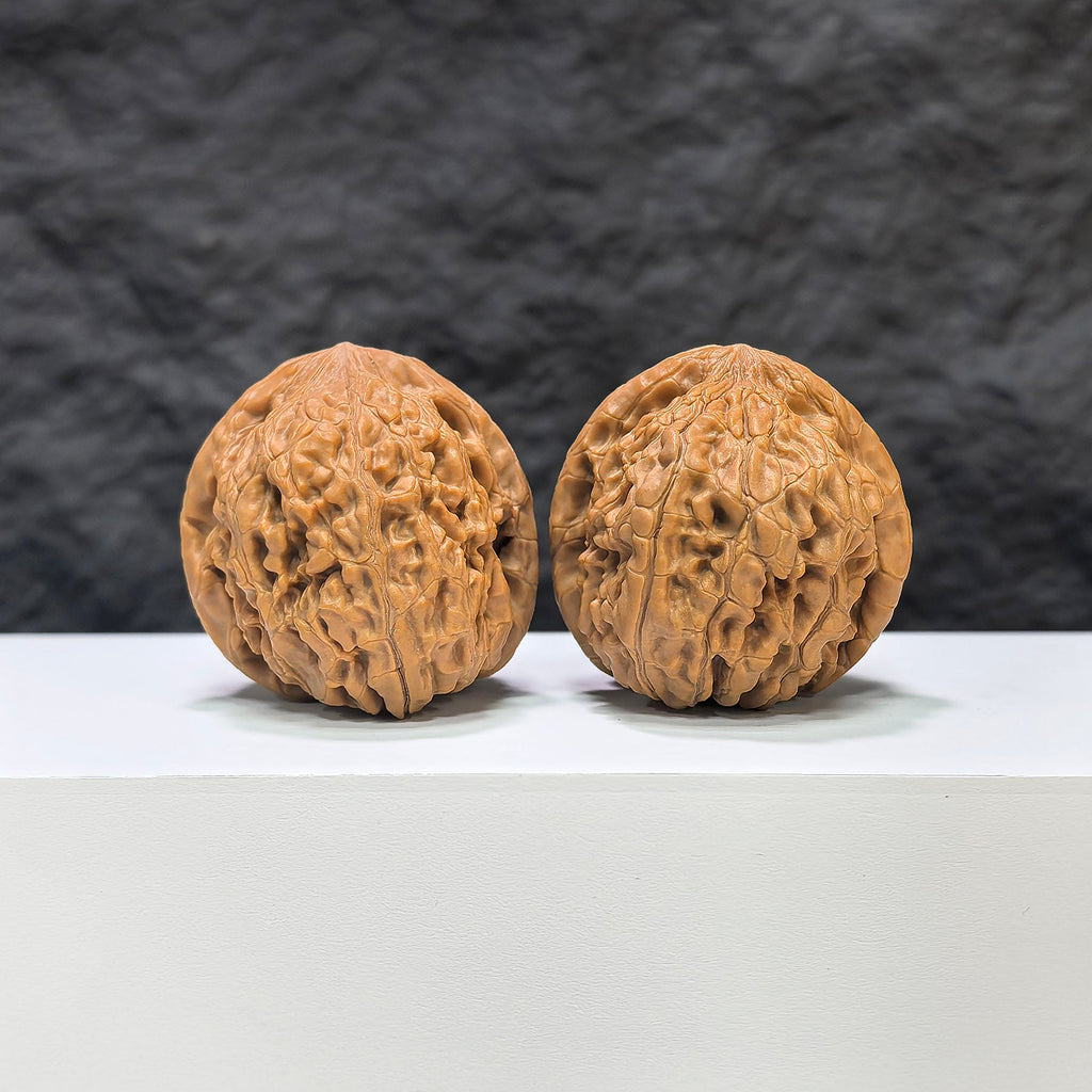 【收藏級】紅錦鯉 文玩核桃 (3.9 × 4.1cm) | [Collector's Grade] Red Koi Walnut (3.9 × 4.1cm) - SKU: HJL-1C9