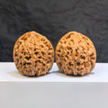 Pair of Nanjiangstone Wenwan walnuts from Wenwan Art, 38mm x 39mm, showcasing smooth, polished walnut carvings with intricate details.