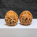 Pair of Tongtian Eight Classic Wenwan walnuts from Wenwan Art, featuring 36mm size and intricate natural wood grain details.