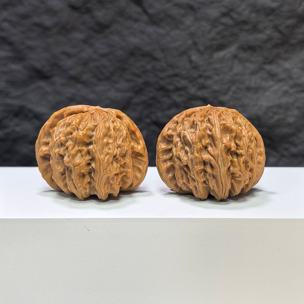 【收藏級】球形白獅子 文玩核桃 (4.4 × 4.3cm) | [Collector's Grade] Spherical White Lion Walnut (4.4 × 4.3cm) - SKU: BSZ-1A1