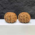 【收藏級】球形白獅子 文玩核桃 (4.4 × 4.3cm) | [Collector's Grade] Spherical White Lion Walnut (4.4 × 4.3cm) - SKU: BSZ-1A1