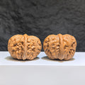【收藏級】平谷元寶 文玩核桃 (3.8 × 4.2cm) | [Collector's Grade] Pinggu Sycee Walnut (3.8 × 4.2cm) - SKU: PGYB-1Z9