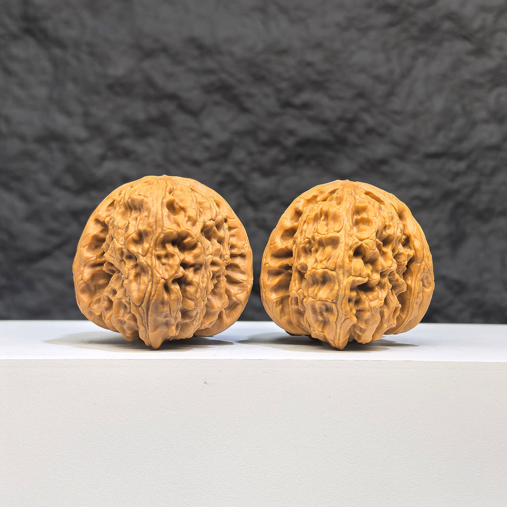 White Lion Wenwan Walnut pair from Wenwan Art, featuring detailed carvings, measuring 36mm x 39mm, showcasing craftsmanship.