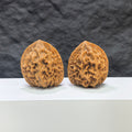 Pair of Dragon Scale Wenwan Walnuts by Wenwan Art, 36mm, featuring intricate dragon scale patterns on polished walnut surfaces.