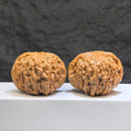 Pair of Huakun Dragon Dragon-Scale Wenwan Walnuts by Wenwan Art, featuring intricate dragon-scale patterns, size 49x51mm.