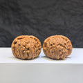 Pair of Pocket Spherical White Lion Wenwan Walnuts from Wenwan Art, 35mm round-profile decorative walnuts featuring white lion carvings.