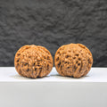 Pair of Wenwan Art Millstone Classic Wenwan walnuts, 38mm x 34mm, with detailed carvings and smooth polished surfaces.