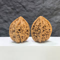 Pair of Beijing Chicken Heart Wenwan walnuts from Wenwan Art, 41mm, showcasing smooth, rounded walnut shells with natural color variations.
