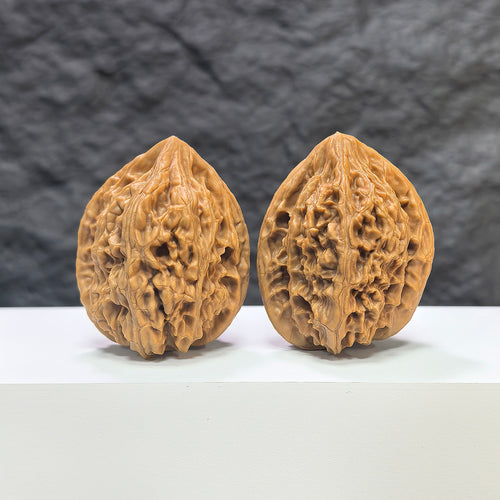 Pair of Beijing Chicken Heart Wenwan walnuts from Wenwan Art, 41mm, showcasing smooth, rounded walnut shells with natural color variations.