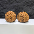 【收藏級】球形白獅子 文玩核桃 (4.1 × 4.1cm) | [Collector's Grade] Spherical White Lion Walnut (4.1 × 4.1cm) - SKU: BSZ-1A0