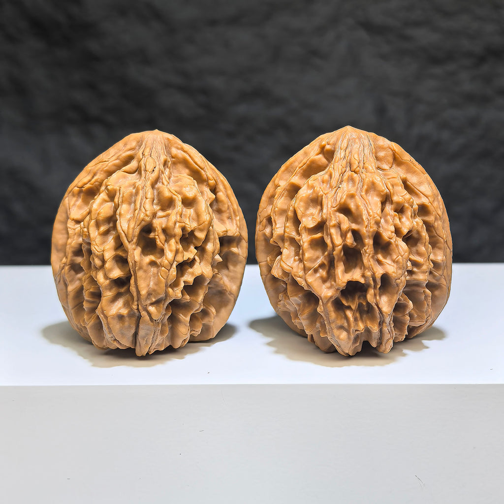 Wenwan Art "Tongtian Eight" classic Wenwan walnuts pair, 40mm x 37mm, showing smooth, polished walnut shells with intricate patterns.