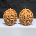 Wenwan Art Wheat Ear Tiger Head Wenwan Walnut pair, 38mm x 36mm, featuring detailed tiger head and wheat ear design.