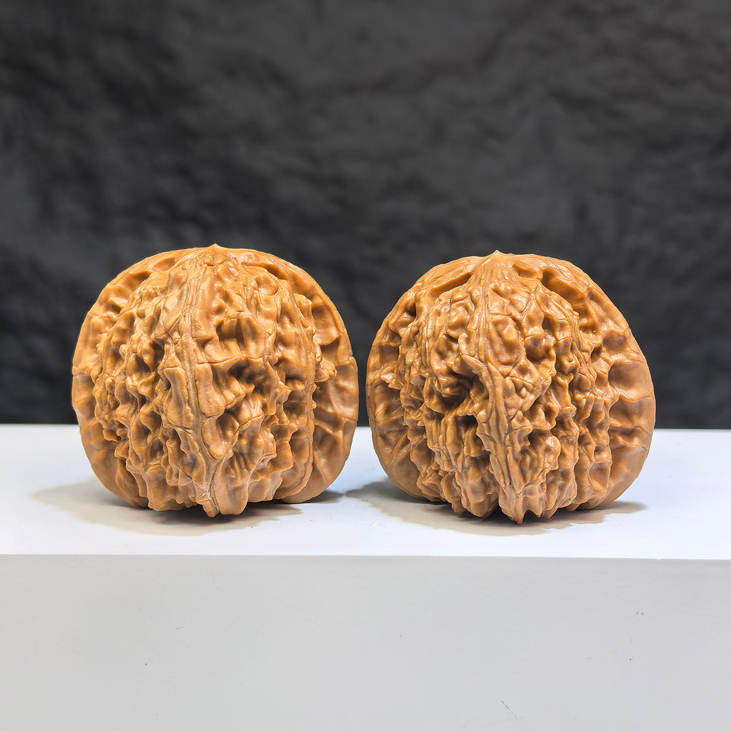 Pair of White Lion Wenwan Walnuts by Wenwan Art, 39mm, featuring intricate white lion carvings on polished walnut surfaces.