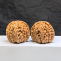 Pair of White Lion Wenwan Walnuts by Wenwan Art, 39mm, featuring intricate white lion carvings on polished walnut surfaces.