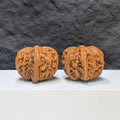【精選級】平谷元寶 文玩核桃 (4.2 × 4.2cm) | [Selected Grade] Pinggu Sycee Walnut (4.2 × 4.2cm) - SKU: PGYB-1S5