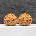 Pair of Peach Heart Palace Lantern Wenwan walnuts by Wenwan Art, featuring carved peach heart designs and smooth polished surfaces.