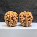 Pair of Classic Scholar Wenwan Walnuts by Wenwan Art, hand-matched, showing detailed natural wood grain and smooth polished surfaces.