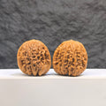 Selected grade Blizzard Wenwan Walnut, 3.4cm, from Wenwan Art, showcasing smooth, polished surface and natural wood grain details.