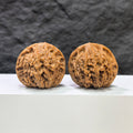 Pair of Golden Kylin Wenwan walnuts from Wenwan Art, featuring intricate carvings on 42mm and 40mm walnuts, collectible art pieces.