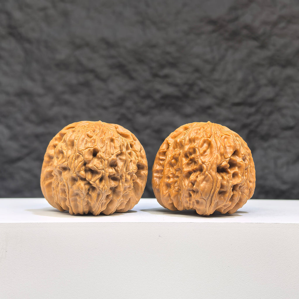 White Lion Wenwan Walnut pair by Wenwan Art, 37mm x 38mm, featuring detailed carvings and smooth polished surfaces.