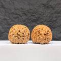 White Lion Wenwan Walnut pair by Wenwan Art, 37mm x 38mm, featuring detailed carvings and smooth polished surfaces.