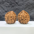 Pair of large Wenwan Art official Wenwan walnuts, 40mm x 36mm, showcasing the smooth, polished surface and natural walnut color.