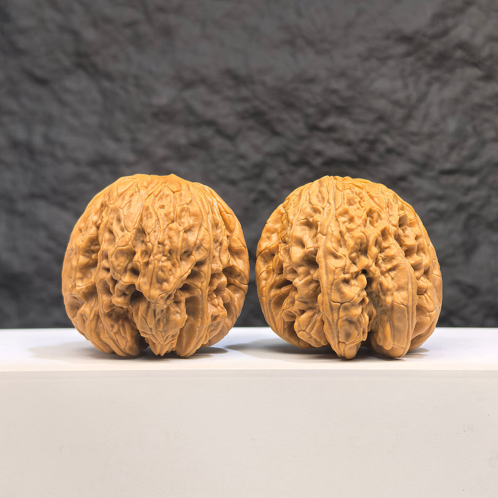 Selected grade Blizzard Wenwan Walnut with smooth surface, measuring 4.3 × 4.4cm, from Wenwan Art.