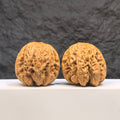 Selected grade Blizzard Wenwan Walnut with smooth surface, measuring 4.3 × 4.4cm, from Wenwan Art.
