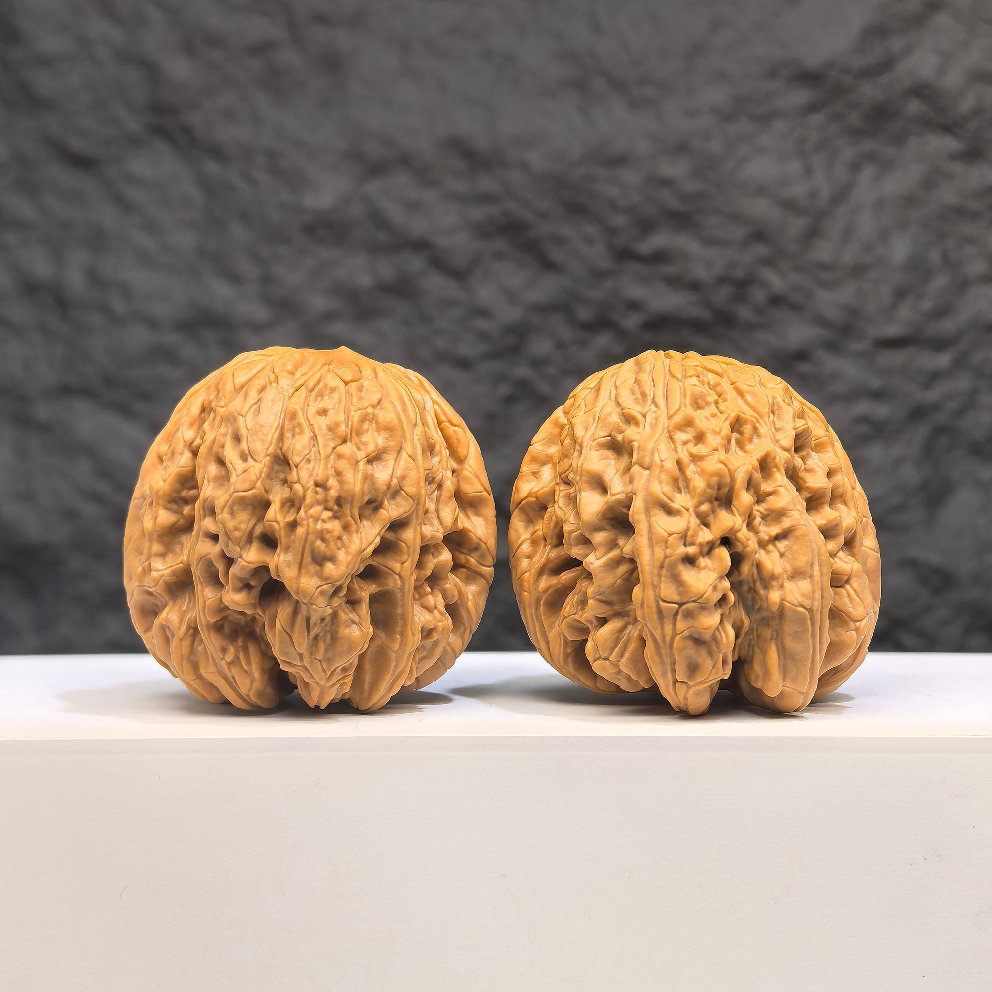 Selected grade Blizzard Wenwan Walnut with smooth surface, measuring 4.3 × 4.4cm, from Wenwan Art.
