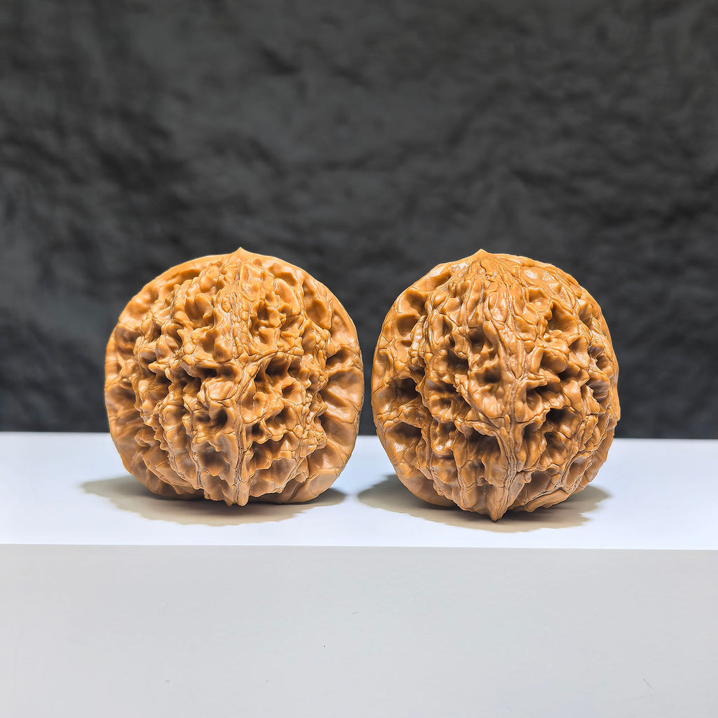 Hand-matched Wenwan Scholar Walnut pair with 球形水龍紋 pattern, 40mm size, crafted by Wenwan Art, featuring intricate natural wood grain.