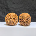 Hand-matched Wenwan Scholar Walnut pair with 球形水龍紋 pattern, 40mm size, crafted by Wenwan Art, featuring intricate natural wood grain.