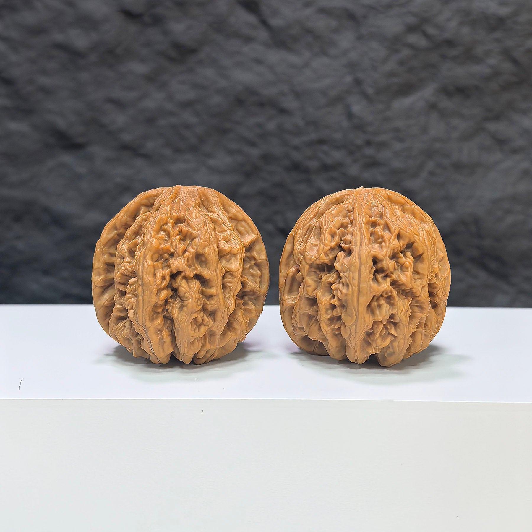 【精選級】粗筋 文玩核桃 (3.8 × 4.0cm) | [Selected Grade] Thick Rib Walnut (3.8 × 4.0cm) - SKU: CJ-1S7