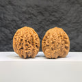 Selected grade Blizzard Wenwan Walnut with a 3.8×3.9cm polished surface, showcasing intricate natural grain patterns.