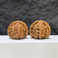 【收藏級】球形南疆石 文玩核桃 (4.2 × 4.2cm) | [Collector's Grade] Spherical Nanjiangstone Walnut (4.2 × 4.2cm) - SKU: QXNJS-1C4