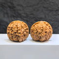 Pair of Wild Wolf Yelang Deep-Carved Wenwan Walnuts from Wenwan Art, featuring intricate carvings, 39mm x 37mm size.