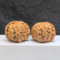Pair of White Lion Wenwan Walnuts by Wenwan Art, featuring detailed carvings and natural white coloration, measuring 42mm by 41mm.