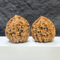 Large Wenwan Art official hat-shaped walnut pair, 47mm x 43mm, showcasing detailed craftsmanship and natural walnut texture.