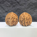 Pair of Xiayunling Classic Wenwan Walnuts from Wenwan Art, 38mm size, featuring smooth, polished natural walnut shells.