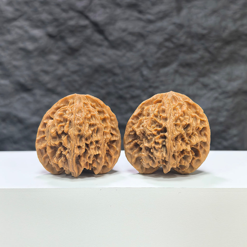 Pair of Wenwan Art Apple Garden Peach Heart Concave Base Wenwan walnuts, 40mm x 37mm, deep-base with detailed natural walnut grain