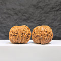 Red Shell Millstone Wenwan Walnut pair by Wenwan Art, featuring 39mm x 38mm classic Wenwan walnuts with red shells.