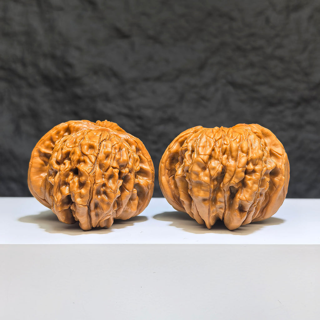 【收藏級】華坤龍 文玩核桃 (4.8 × 4.9cm) | [Collector's Grade] Huakun Dragon Walnut (4.8 × 4.9cm) - SKU: HKL-1Z1